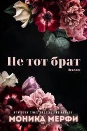 Не тот брат - Мерфи Моника