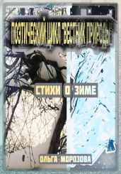 Поэтический цикл «Вестник природы». Стихи о зиме - Морозова Ольга Владимировна
