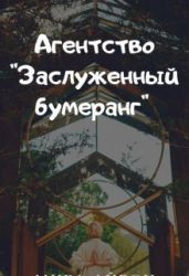 Агентство "Заслуженный бумеранг" - Айрон Мира