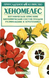 Хеномелес - Меженский Владимир Николаевич