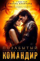 Позабытый командир - Уэбстер К., Бланчард Николь