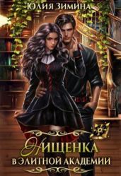 Нищенка в элитной академии - Зимина Юлия