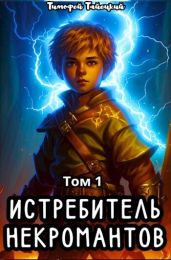 Истребитель некромантов. Том 1 - Тайецкий Тимофей