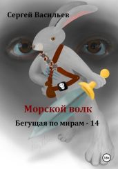 Морской волк. Бегущая по мирам – 14 - Васильев Сергей