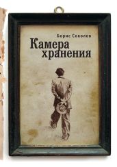 Камера хранения - Соколов Борис Вадимович