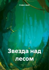 Звезда над лесом - Цвейг Стефан
