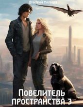 Повелитель пространства. Том 3 - Мальцев Дмитрий