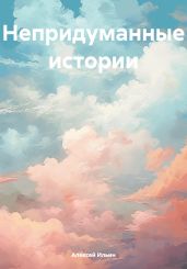 Непридуманные истории - Ильин Алексей Игоревич