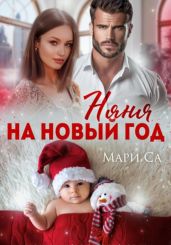 Няня на Новый год - Са Мари