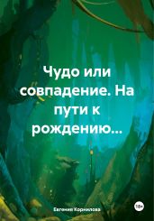 Чудо или совпадение. На пути к рождению… - Корнилова Евгения