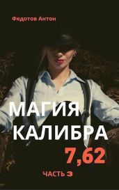 Магия калибра 7.62. Том 3 - Федотов Антон Сергеевич