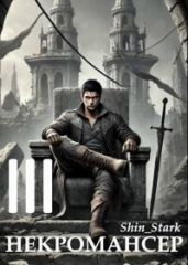 Вы призвали… некроманта! Том 3 - Shin_Stark
