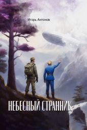Небесный странник - Антонов Игорь Викторович