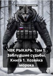 ЧВК РЫКАРЬ. Том 1. Заблудшие судьбы. Книга 1. Хозяйка морока - Окольников Александр