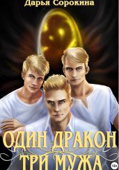 Один дракон – три мужа - Сорокина Дарья