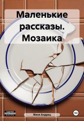 Маленькие рассказы. Мозаика - Андриц Женя