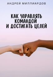 Как управлять командой и достигать целей - Миллиардов Андрей