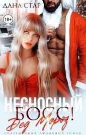 Несносный босс Дед Мороз - Стар Дана