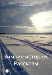 Зимние истории. Рассказы - Богомолова Анна