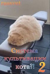Система культивации кота 2 - rassvet