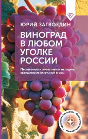 Виноград в любом уголке России. Проверенная и эффективная методика выращивания капризной ягоды - Загвоздин Юрий
