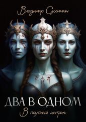 Два в одном. В паутине интриг - Сухинин Владимир Александрович