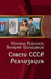 Спасти СССР. Реализация - Большаков Валерий Петрович