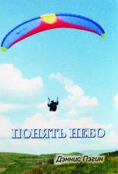 Понять небо - Пегин Дэннис