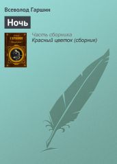 Ночь - Гаршин Всеволод Михайлович