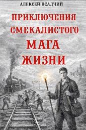 Приключения смекалистого мага жизни - Осадчий Алексей