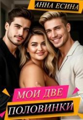 Мои две половинки - Есина Анна