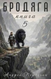 Бродяга. Том 5 - Первухин Андрей Евгеньевич
