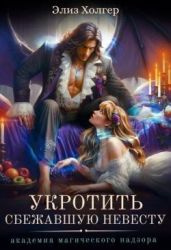 Укротить сбежавшую невесту. Академия Магического Надзора - Холгер Элиз