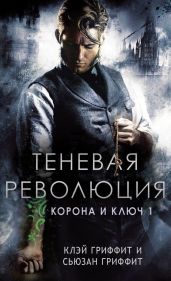 Теневая революция