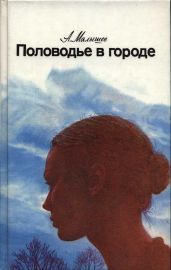 Половодье в городе