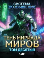 Тень Мириада Миров - Раздоров Николай