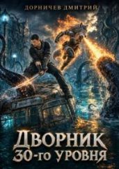 Дворник 30-го уровня. Том 11 - Дорничев Дмитрий