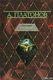 Эфирный тракт - Платонов Андрей Платонович