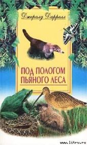 Под пологом пьяного леса - Даррелл Джеральд