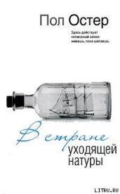 В стране уходящей натуры - Остер Пол Бенджамин
