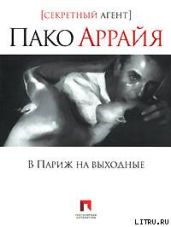 В Париж на выходные - Костин Сергей Васильевич