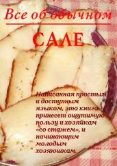Все об обычном сале - Дубровин Иван