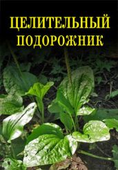 Целительный подорожник - Дубровин Иван