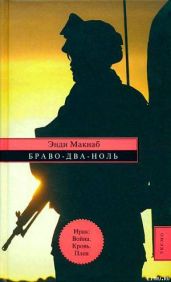 Браво-Два-Ноль - Макнаб Энди