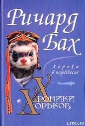 Хорьки в поднебесье - Бах Ричард Дэвис