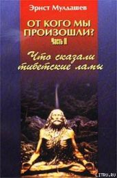 Что сказали тибетские ламы - Мулдашев Эрнст Рифгатович