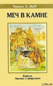 Царица Воздуха и Тьмы - Уайт Теренс Хэнбери