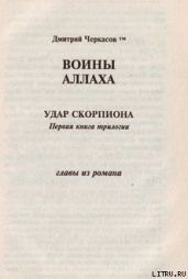 Воины аллаха. Удар скорпиона - Черкасов Дмитрий Сергеевич