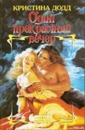 Один прекрасный вечер - Додд Кристина