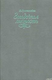 Вася Кочкин, человек лет двенадцати - Христолюбова Ирина Петровна